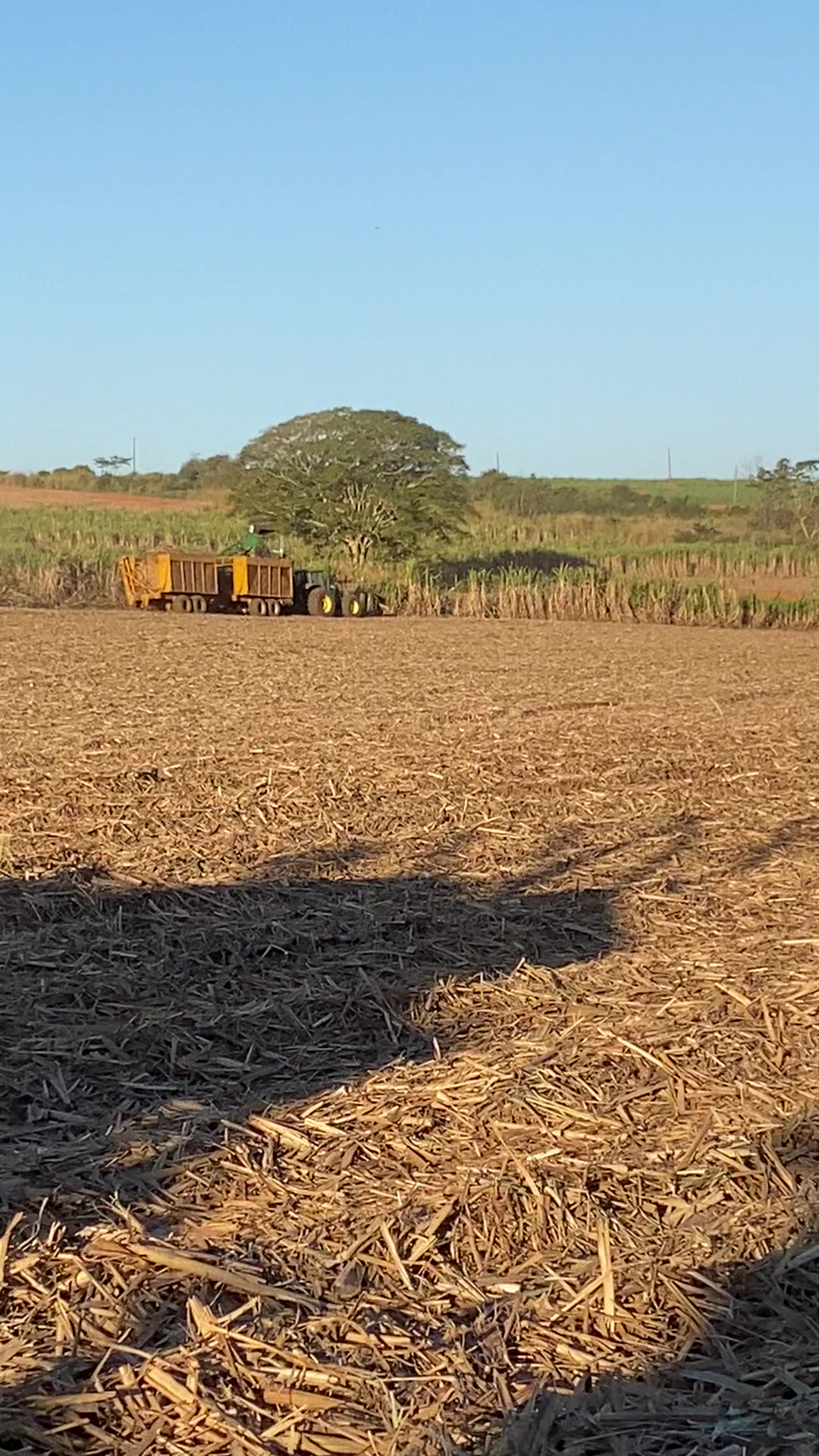 @ÍNDIO DO AGRO 🚜🌱