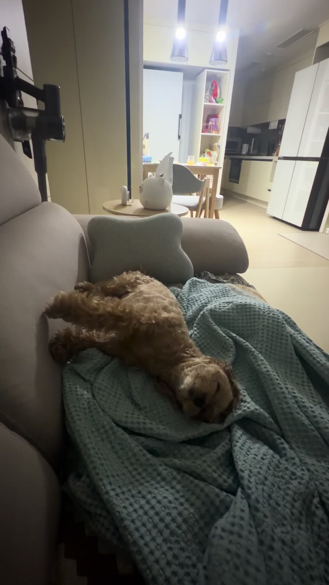 @꼬미