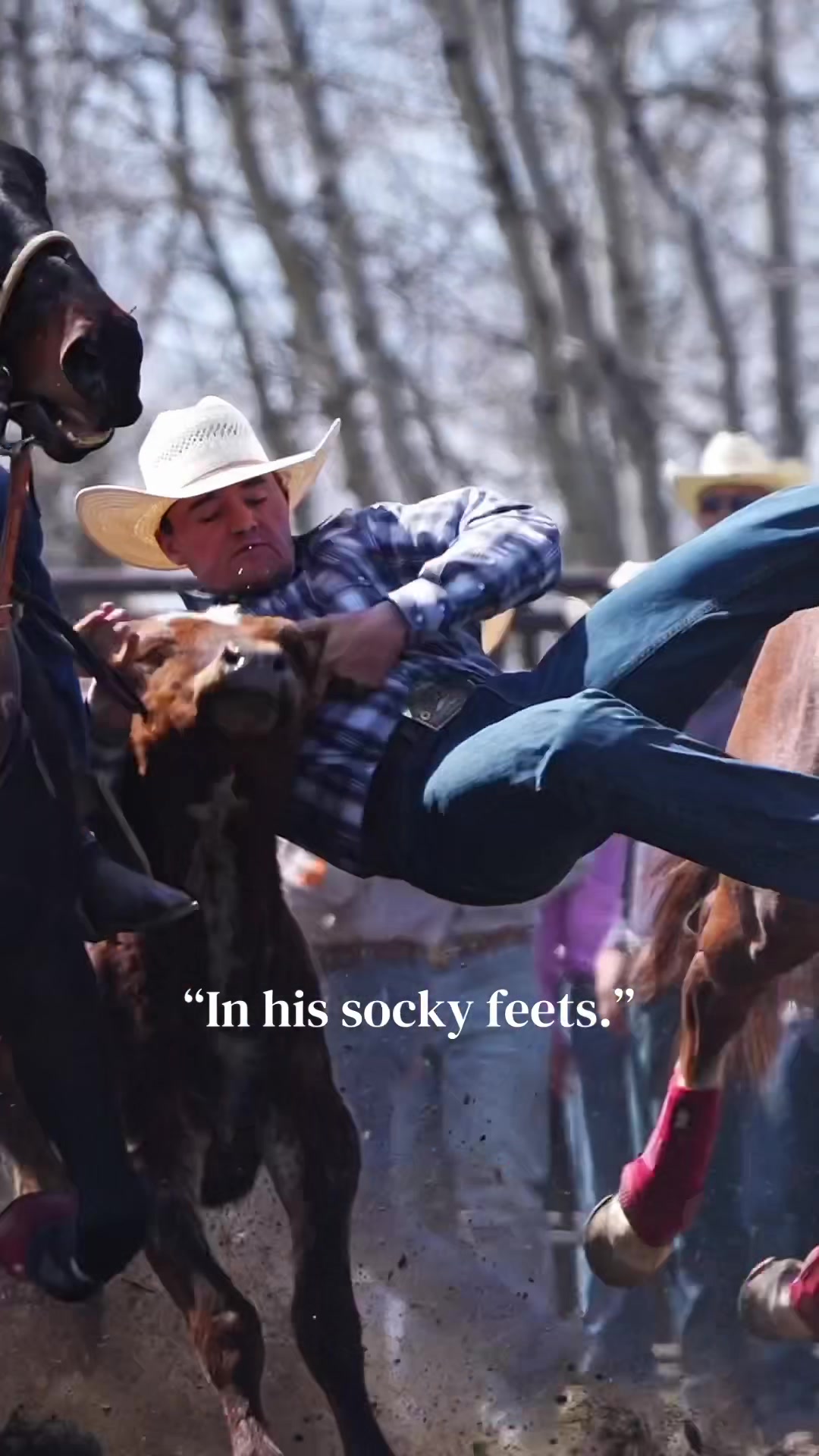 @Hanginghorses
