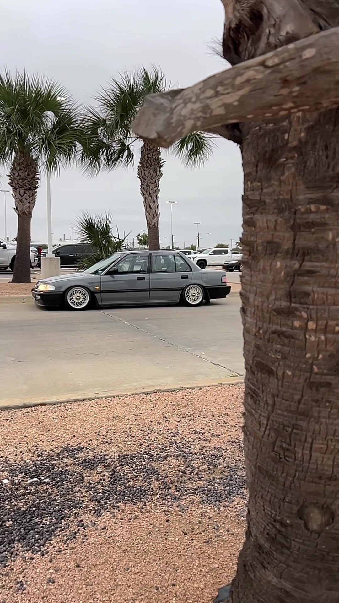 @txefsedan91