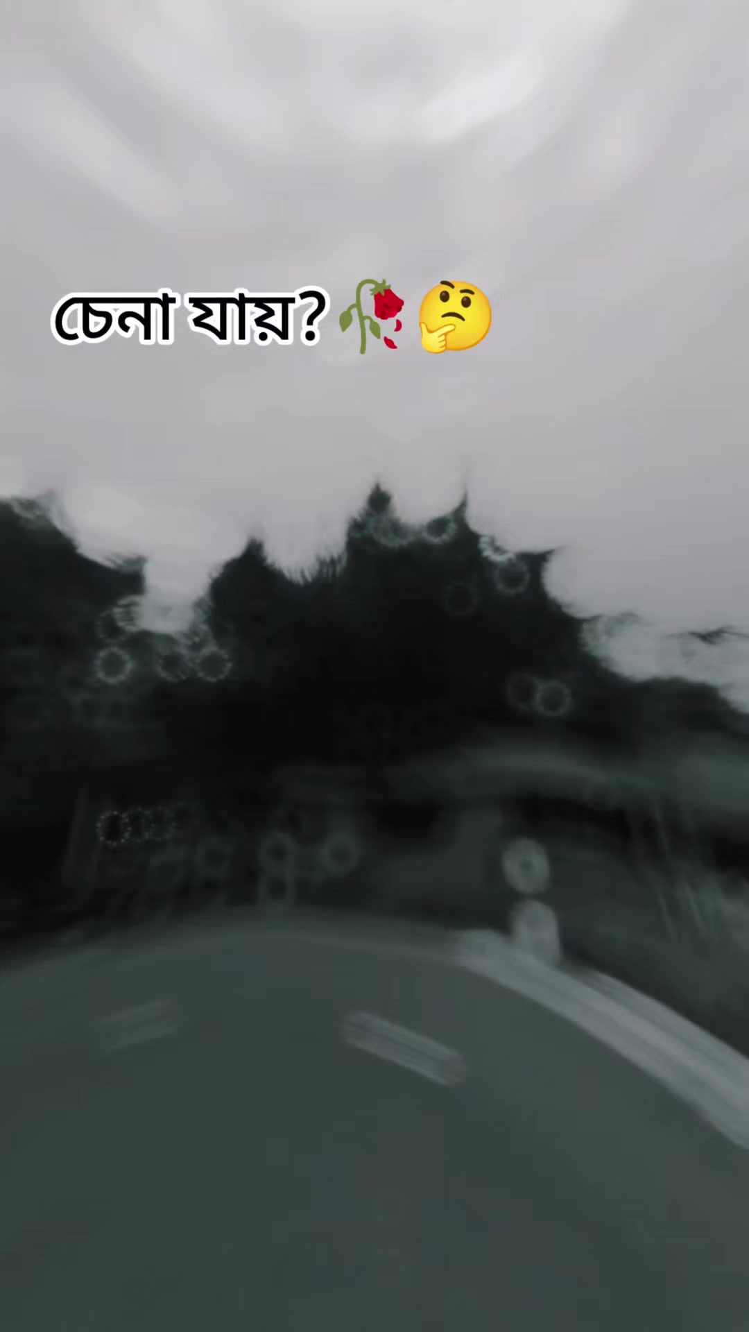 @Deb Ctg.