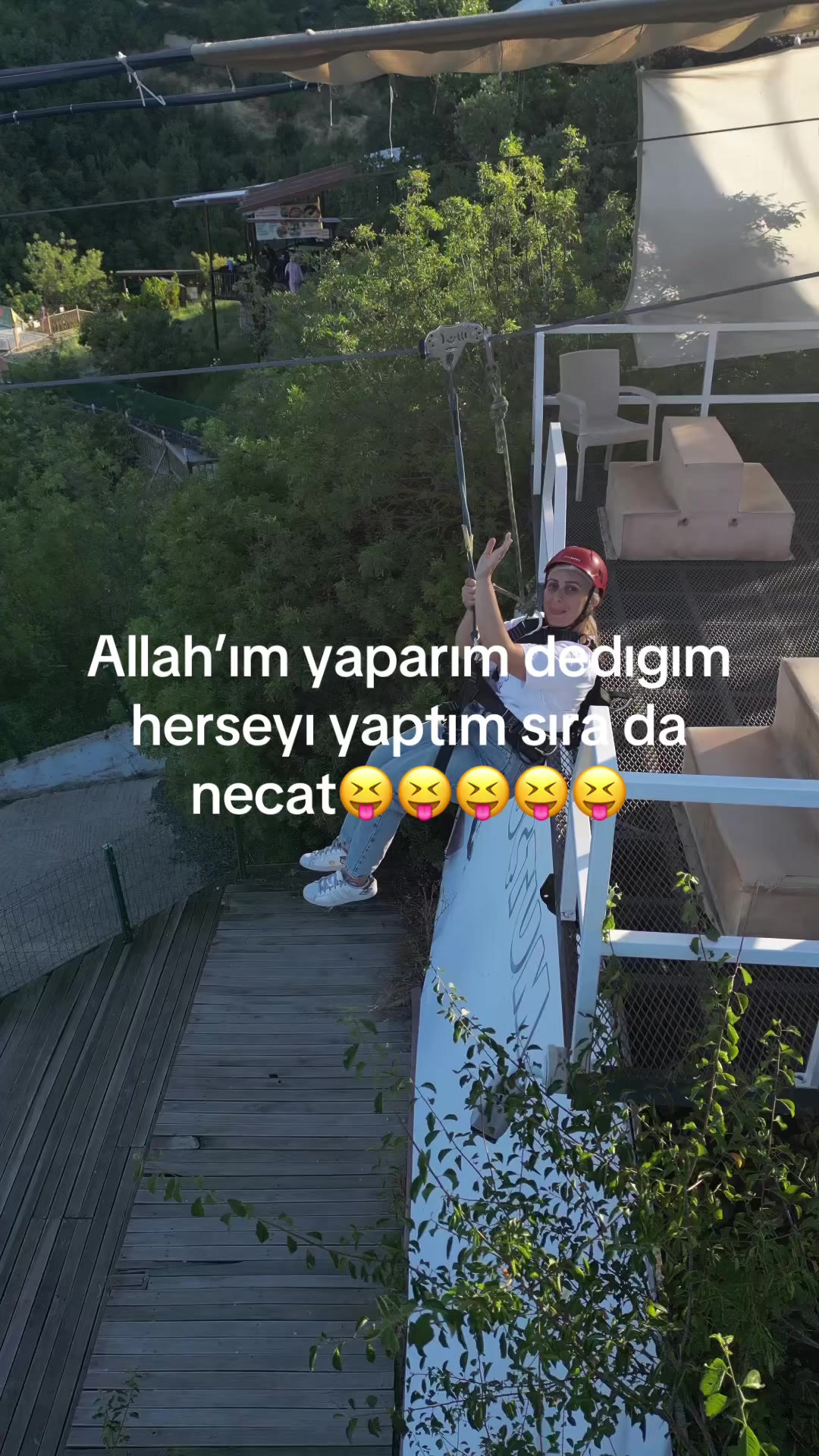 @Elaynll