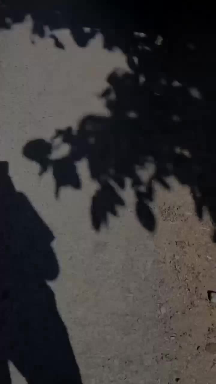 @• Tᴀɢ̆ɪʏᴇᴠ