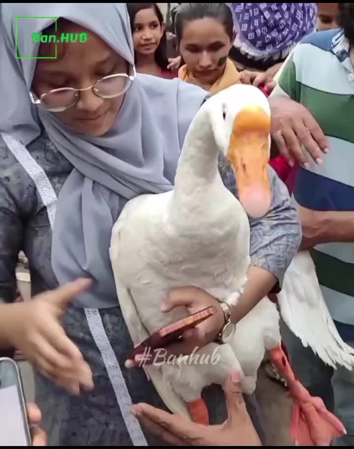 @Sohag Akhtar