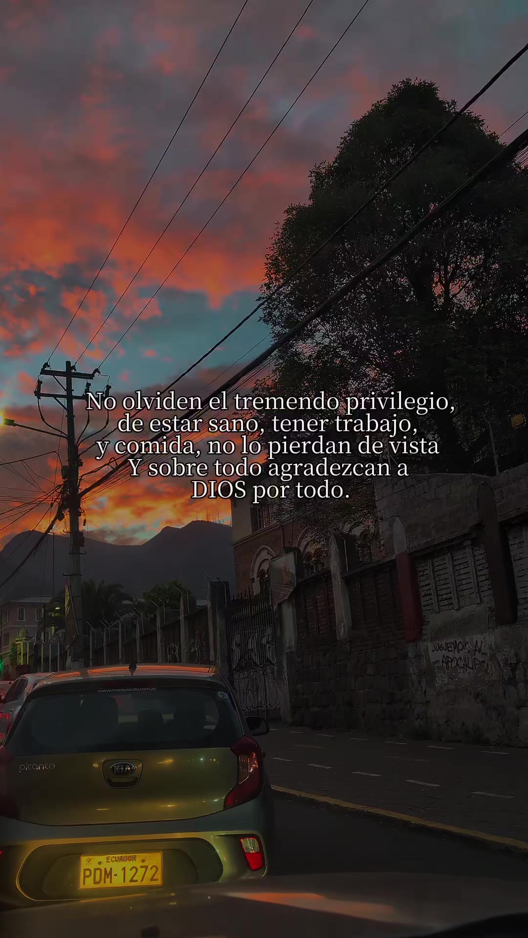 @Pao Jazm&iacute;n