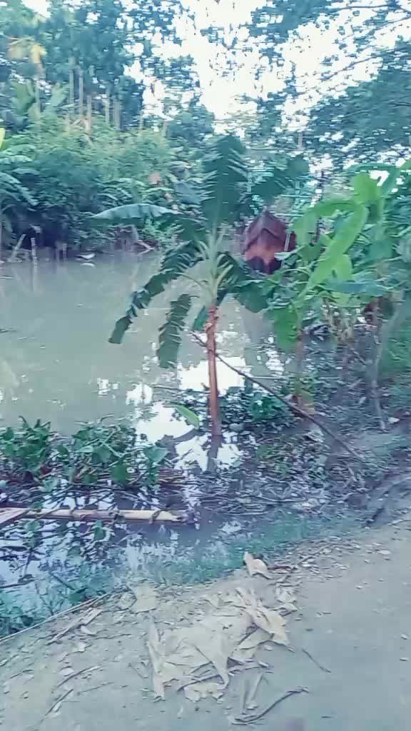 @Md1714305880