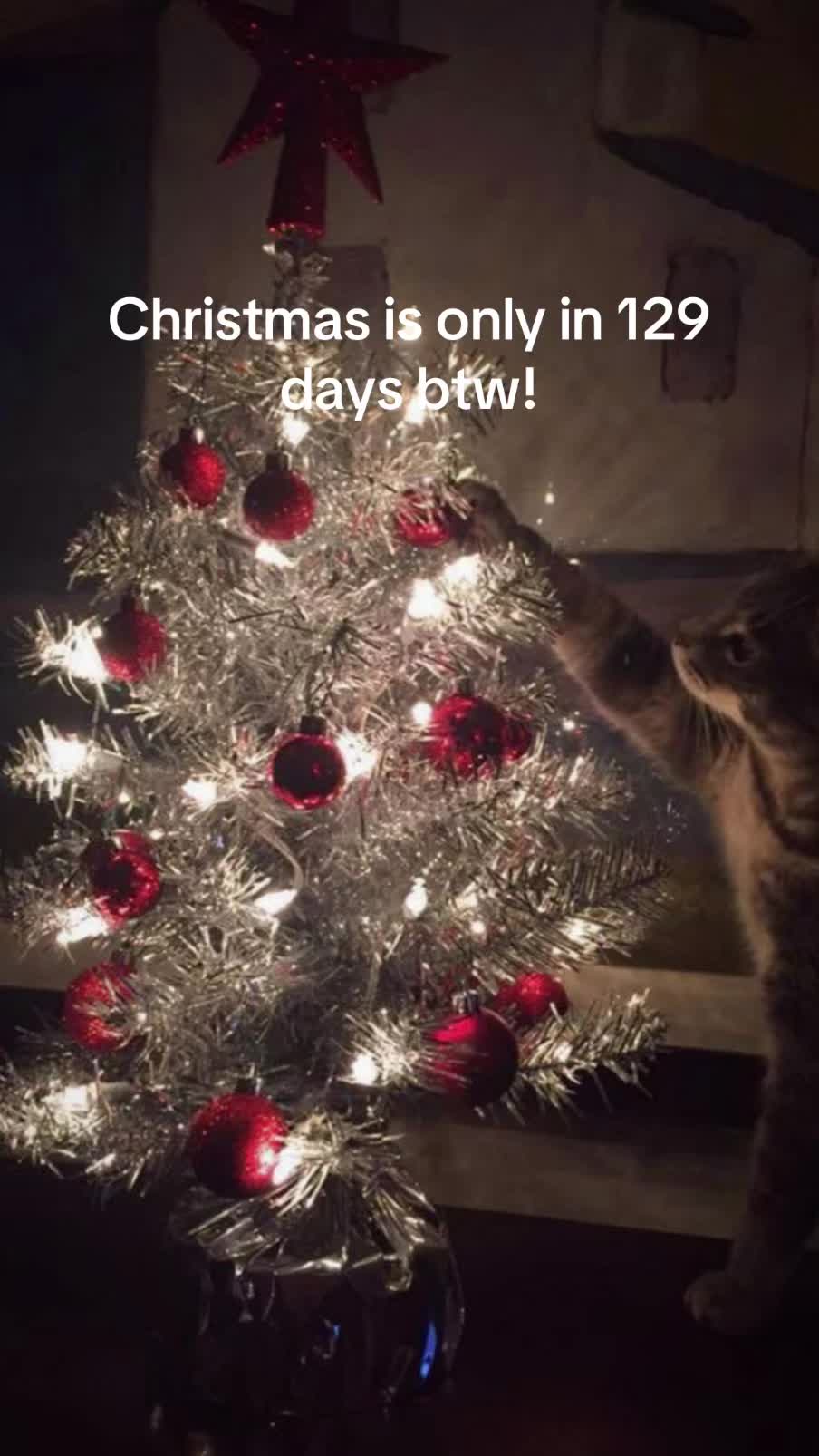 @christmas vibes!