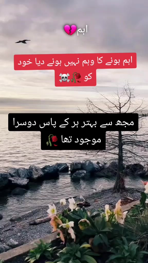 @tahirdishmaster🇵🇰