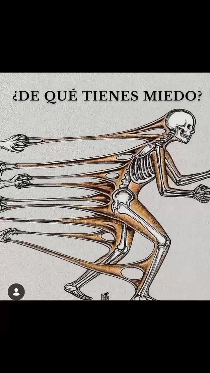 @odalisA