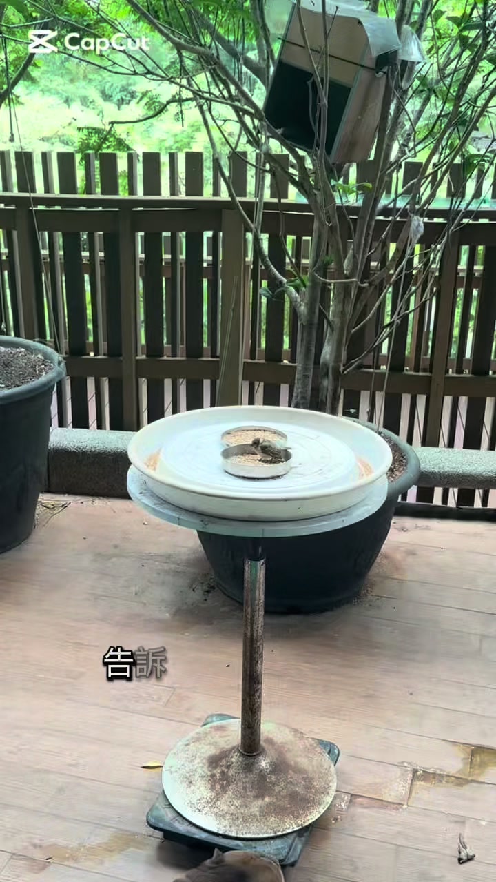 @葉信志