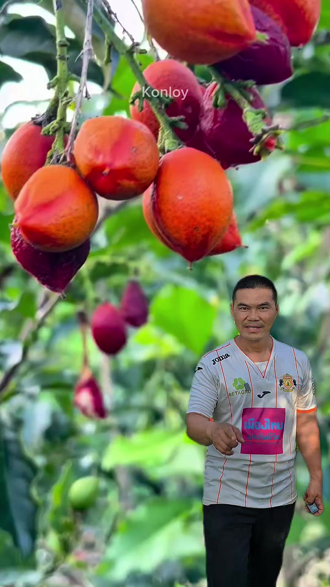 @Konloy