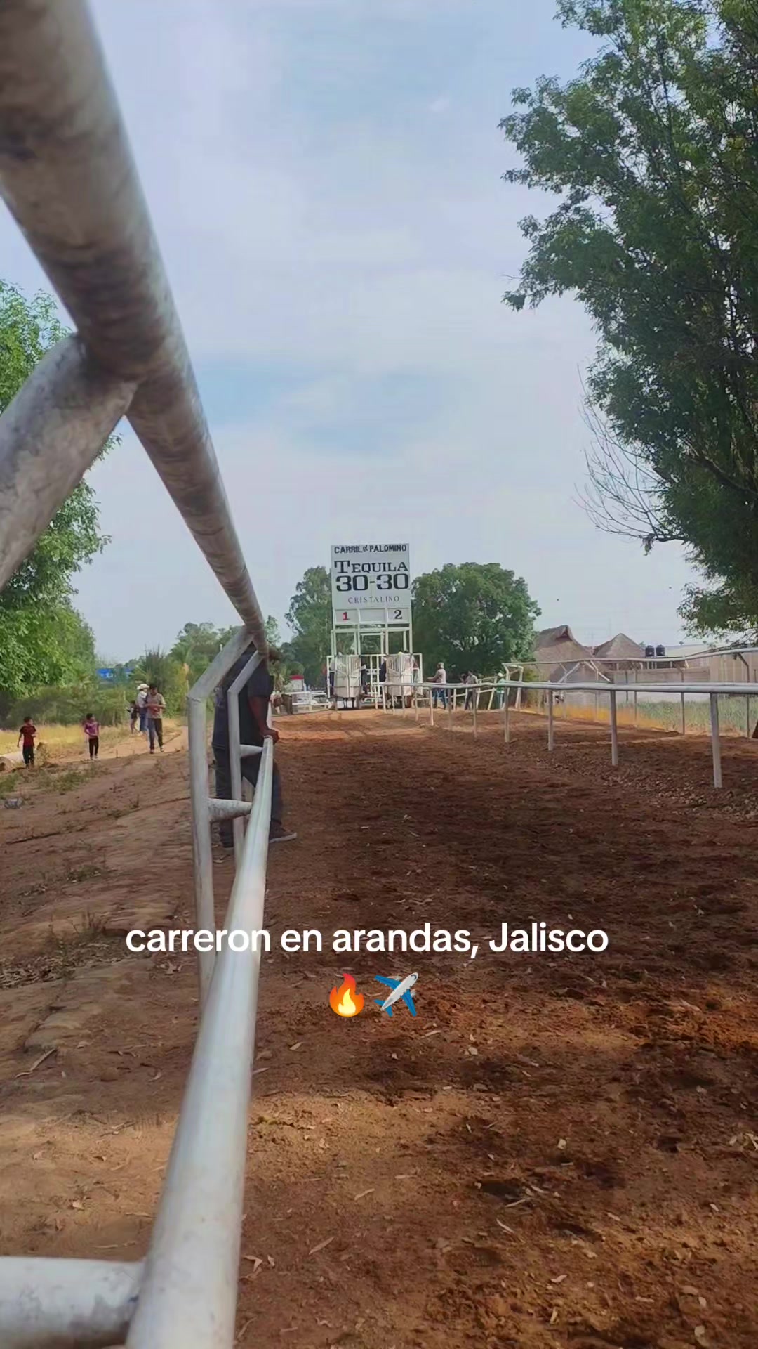 @carriles altos de jalisco🐎