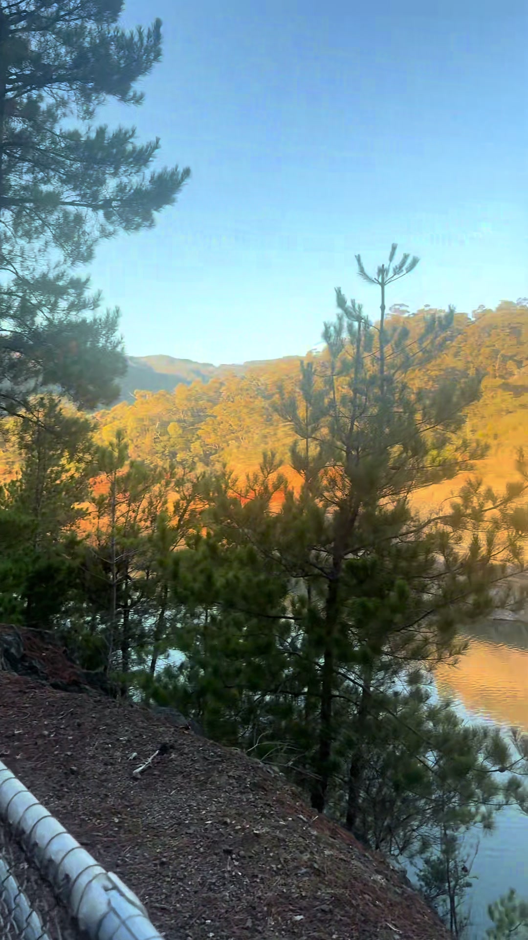 @Tilly by Nature