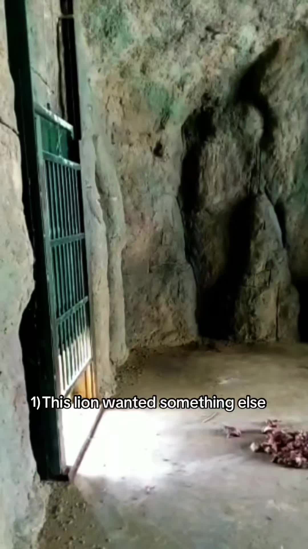 @WildwonderzZzz