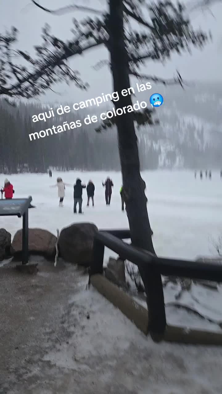 @scar sotelini