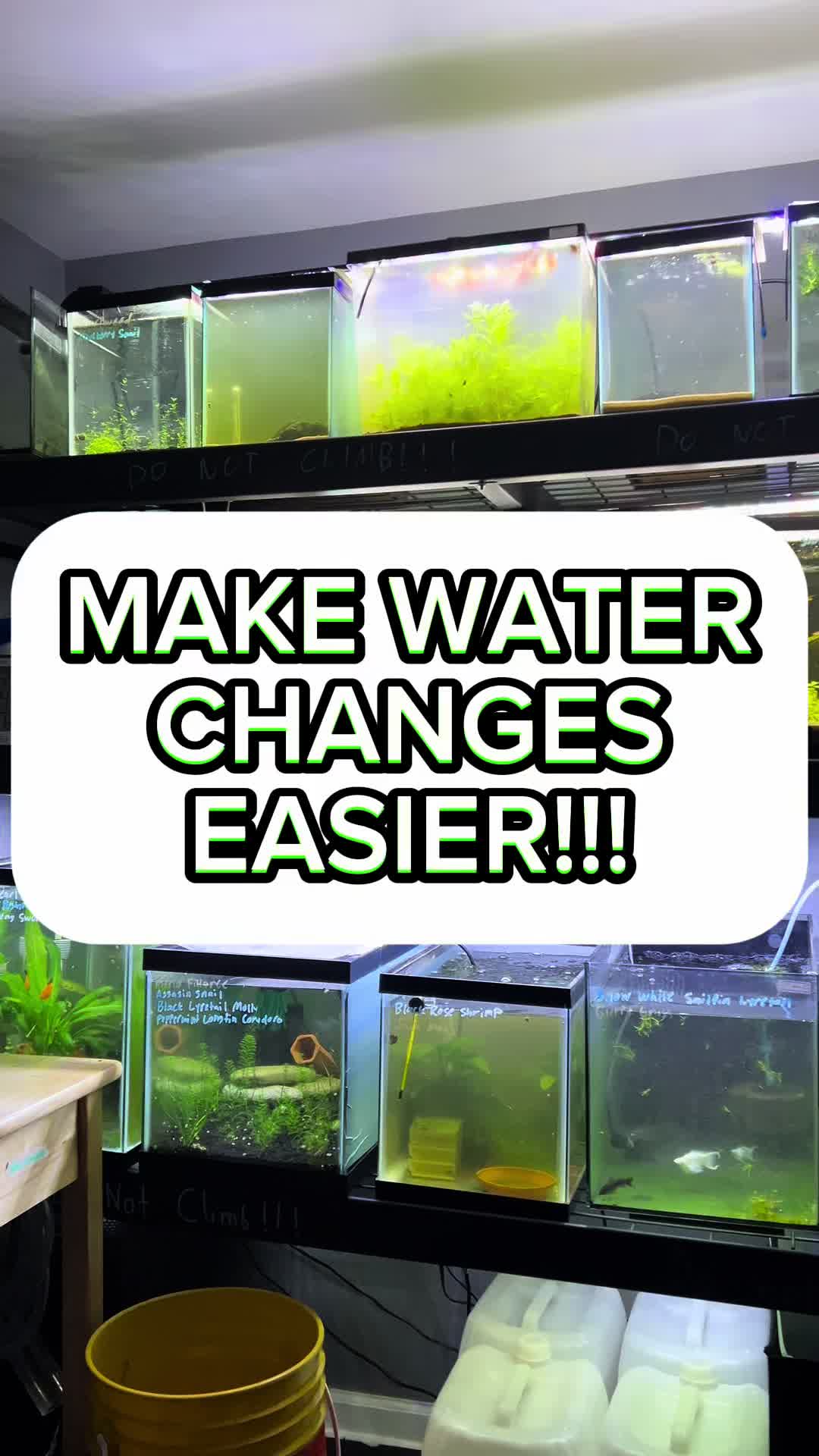 @AquahavenChicago