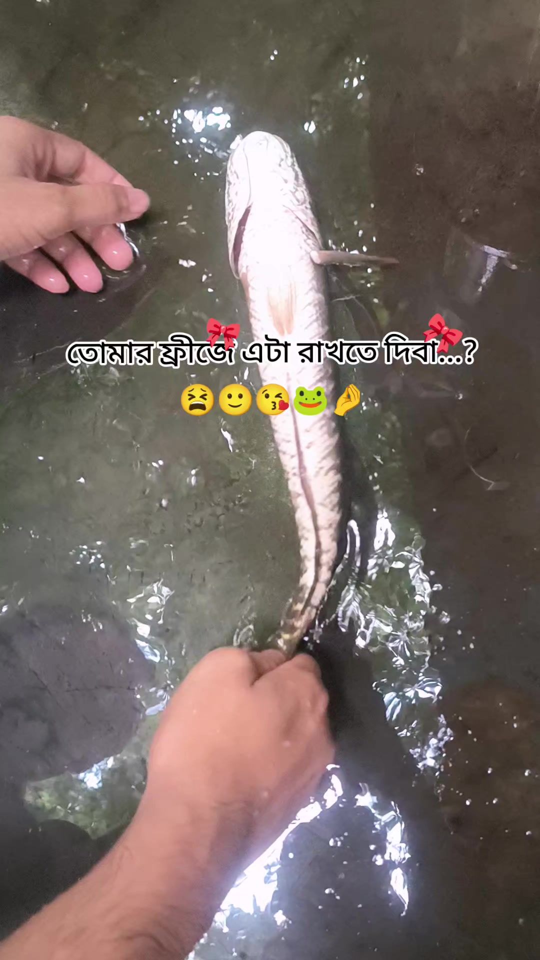 @(っ◔࿐🐸🫦দুষ্ট দাদু🫦🐸࿐(っ◔◡◔)っ