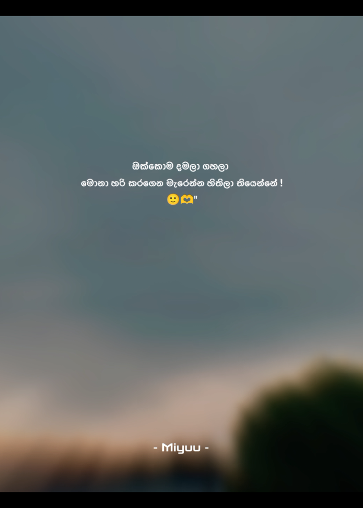 @𝐌𝐢𝐲𝐮𝐮 𝓩 🪭 !¡