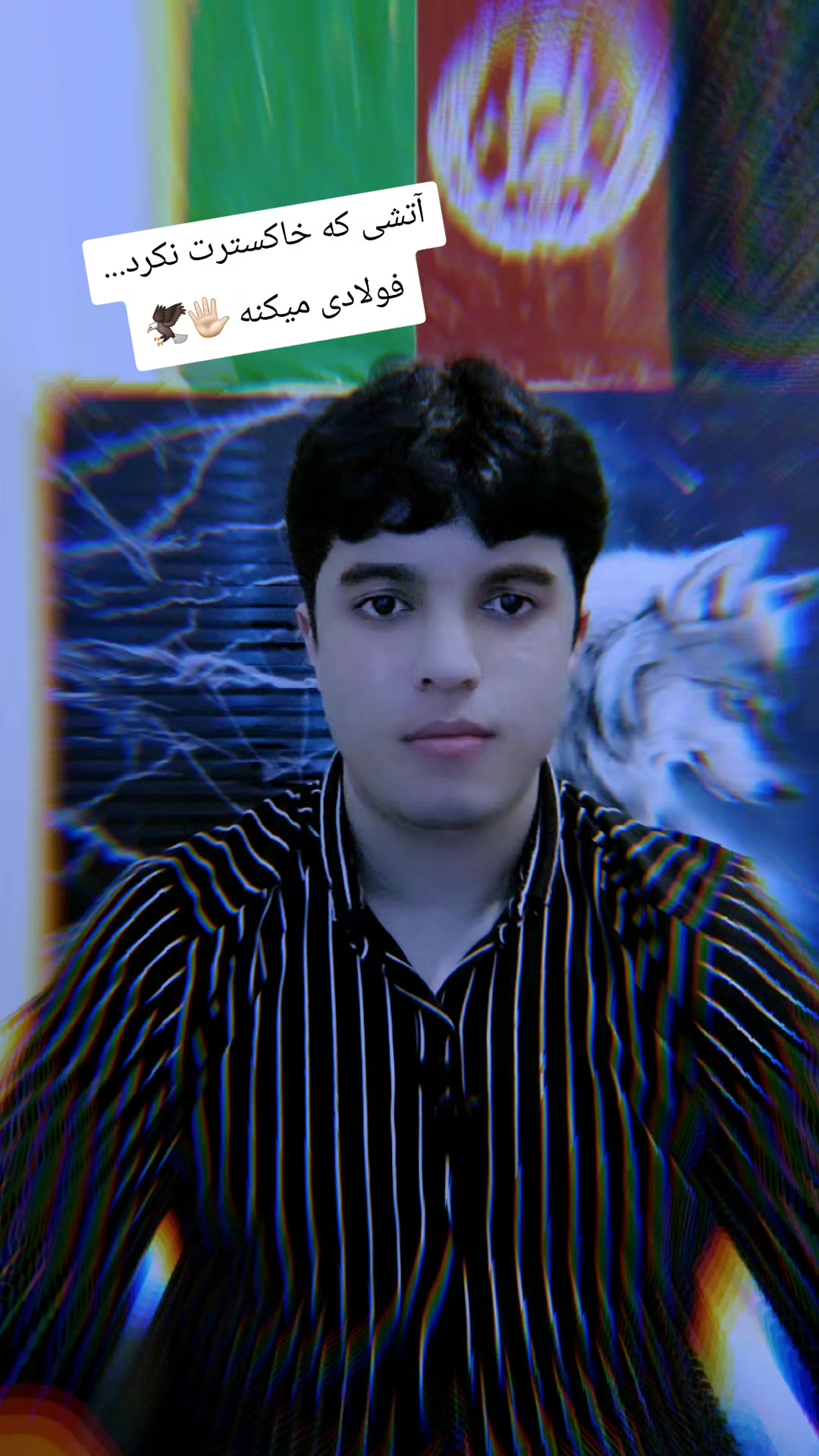 @𓆩🦁شفیـع الله عرب𓆪