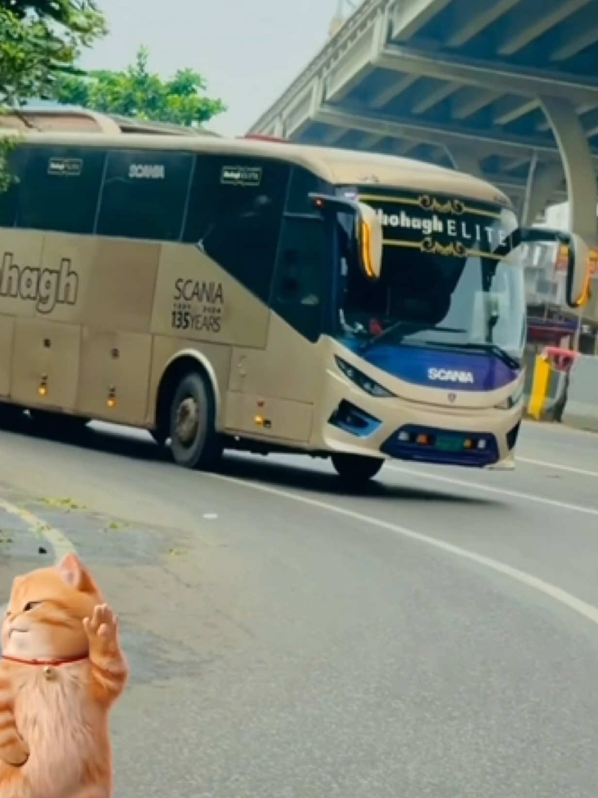 @BUS LOVER HASANđĨđĨ