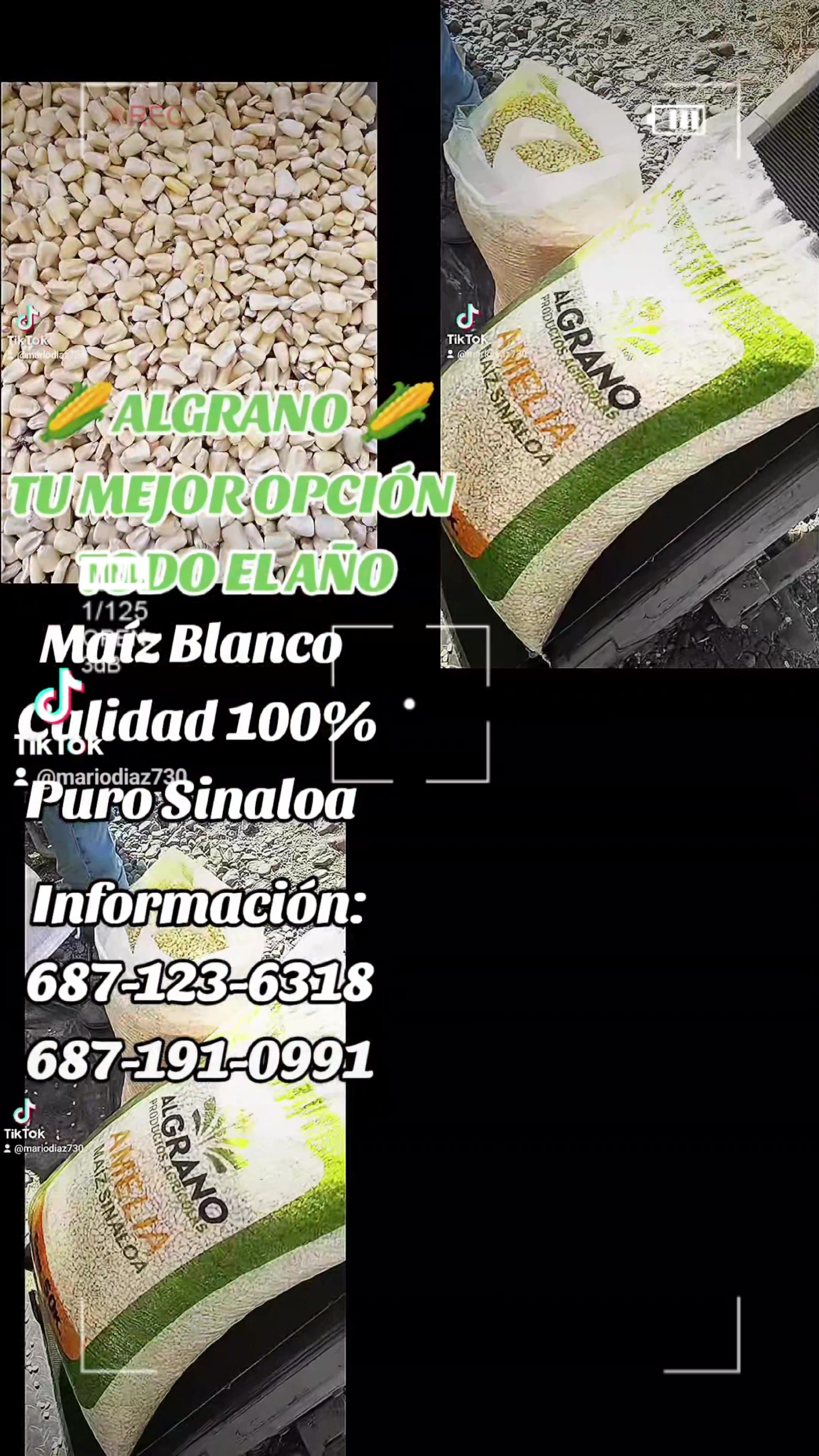 @Mario Diaz