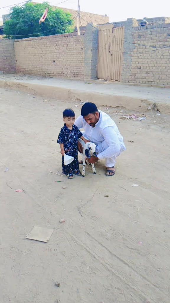 @s imran