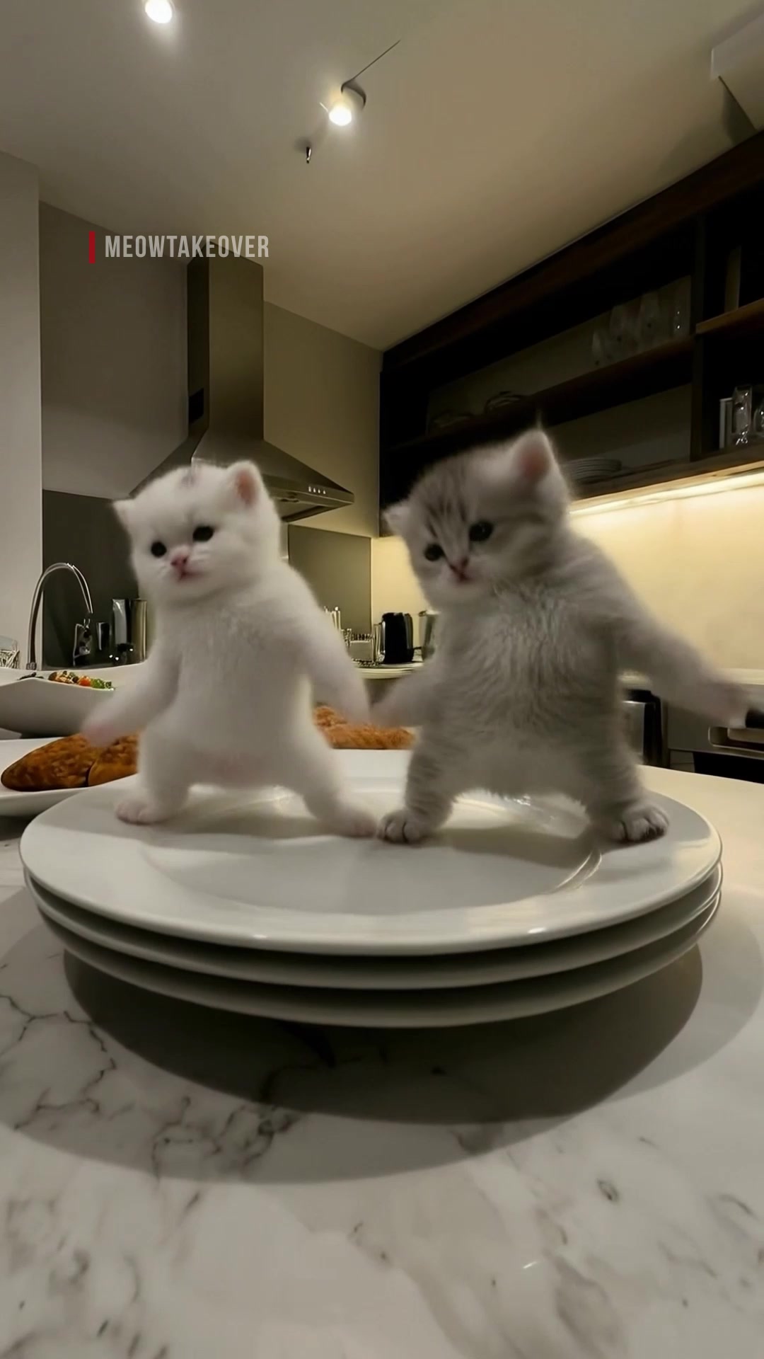 @meowtakeover