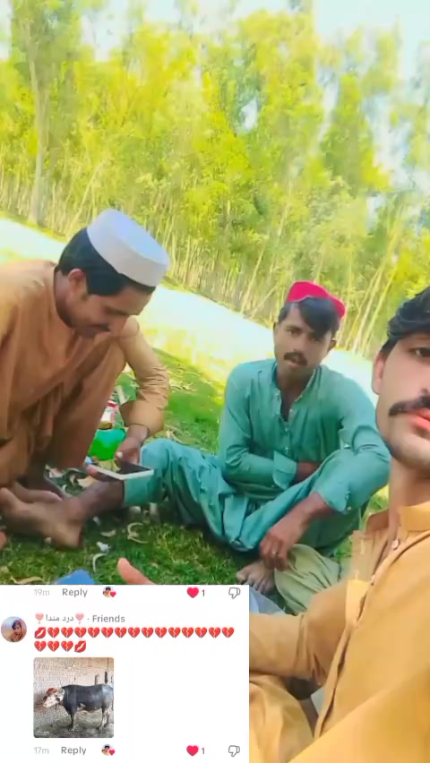 @arshad ali