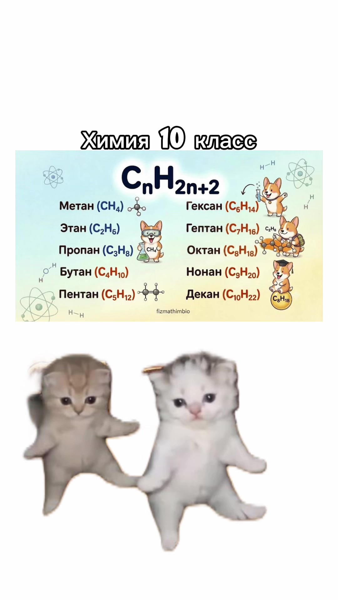 @Репетиторы физика химия матем