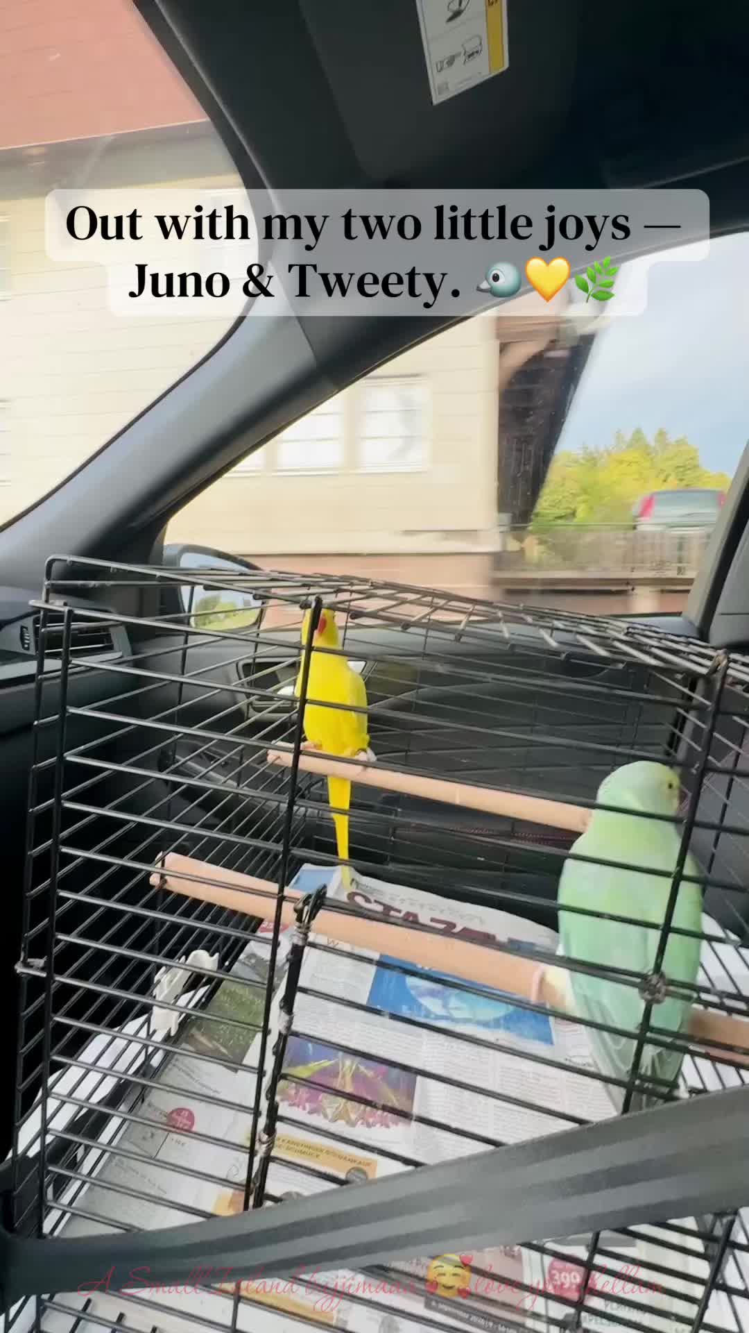 @Ram.de🇩🇪❤️🧡💛💚💙💜🤎🖤🤍