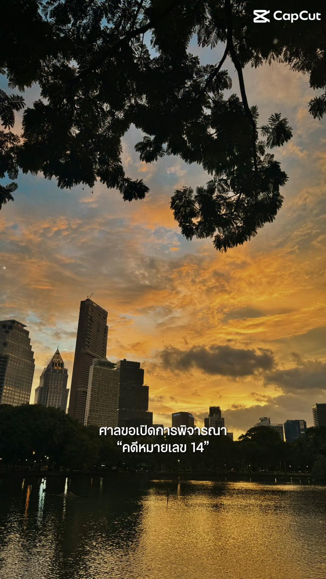 @View.P