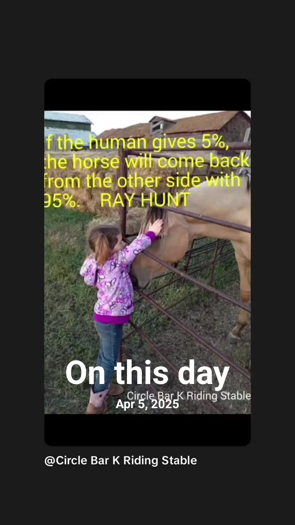 @Barrel Racing Journey
