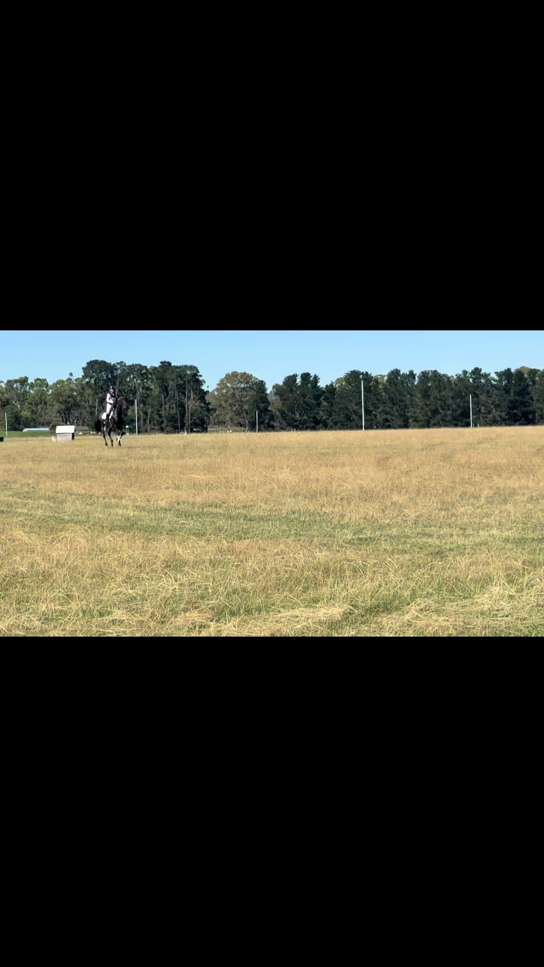 @skye.oequestrian38