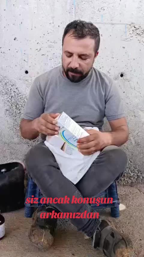 @fenomen besici