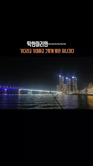 @도달류선생 DodalRyu 🎣