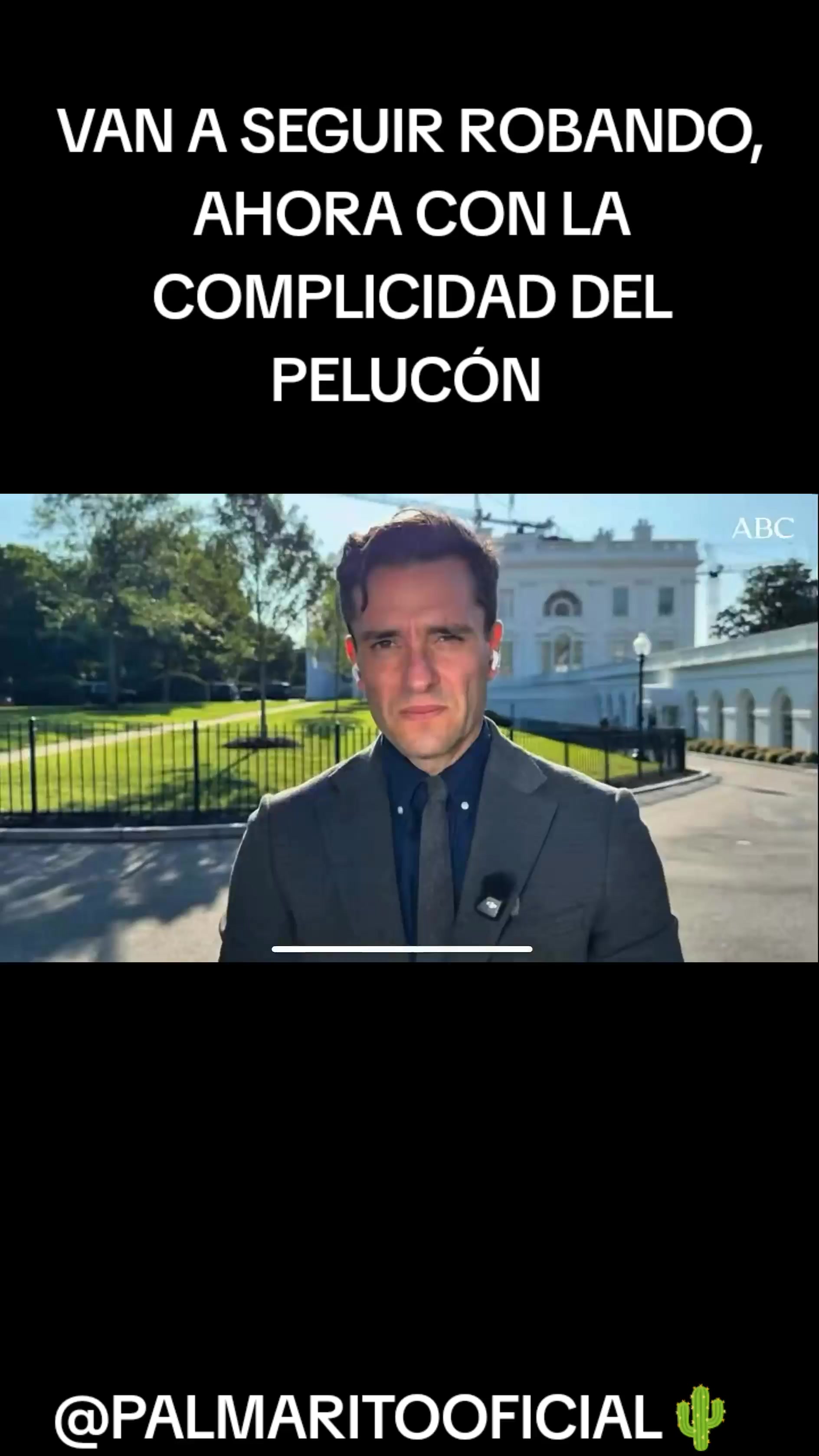 @PALMARITOOFICIAL 🌵