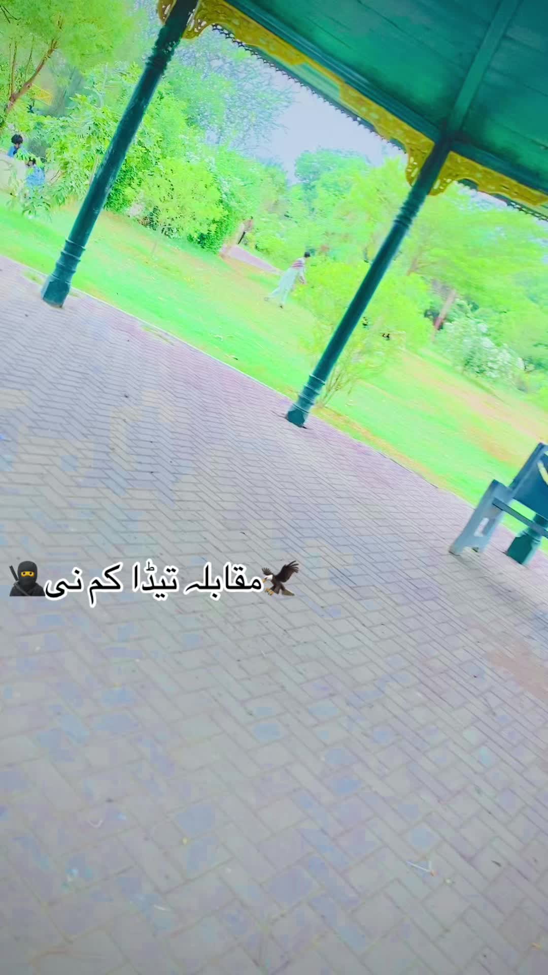 @|Z𝗂𝗱𝗱ꜞᵦǻc𝒉ɑ𒆜