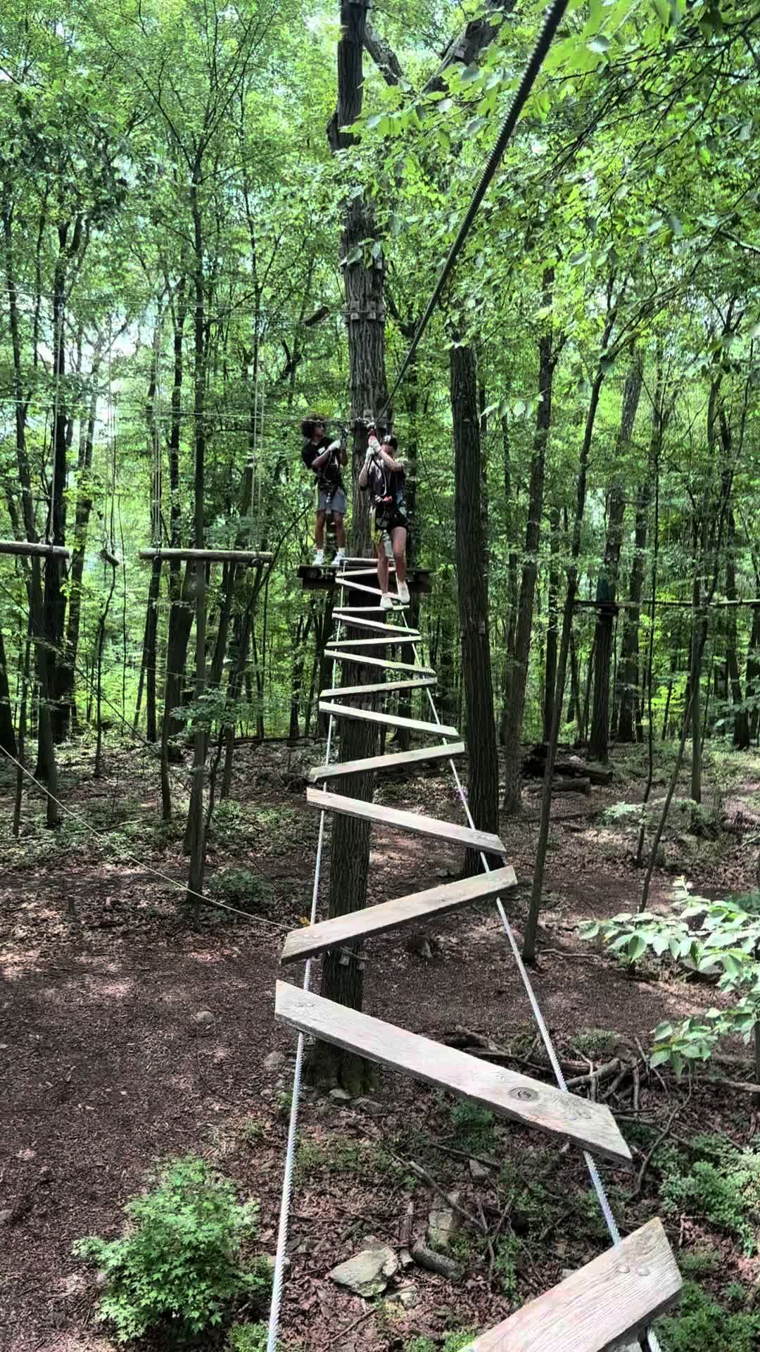 @flgxNJ