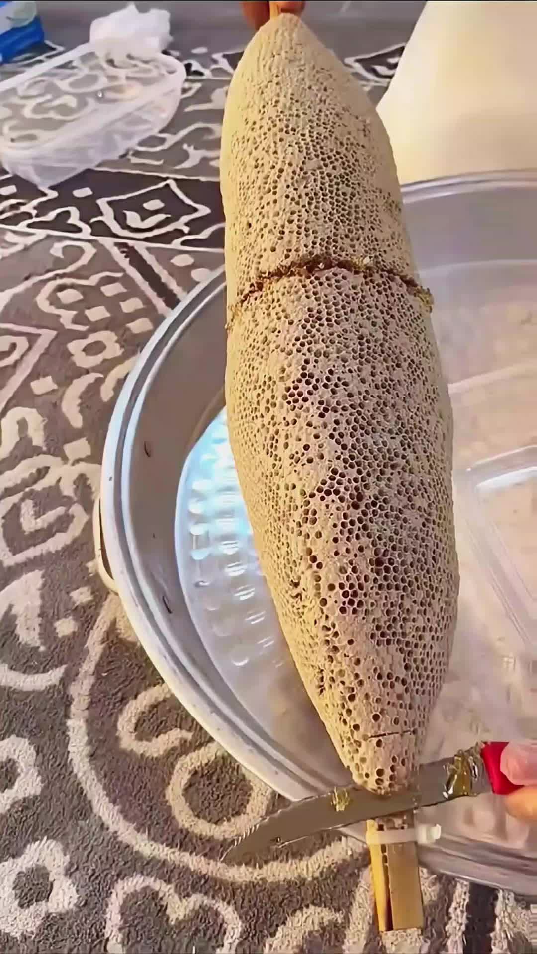 @◉‿◉