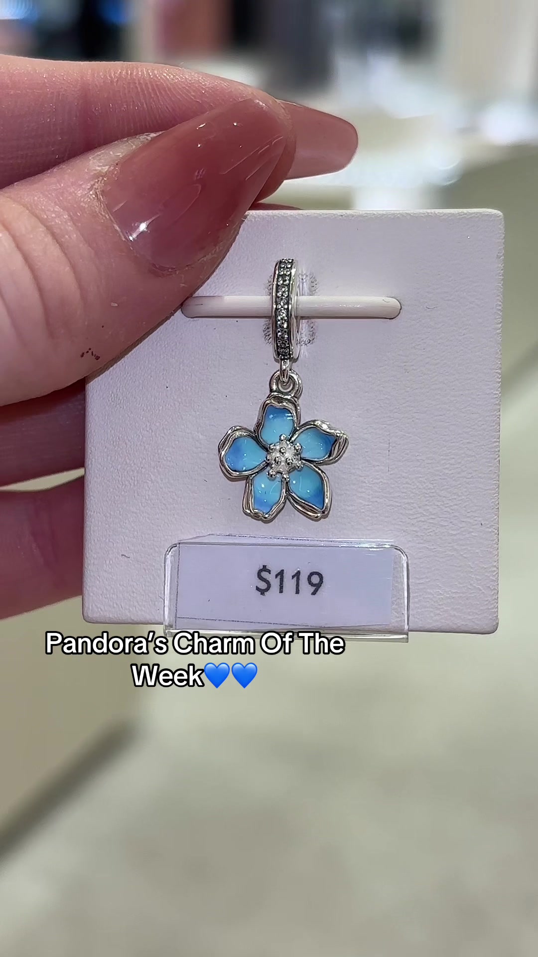 @Pandora Mt Gravatt