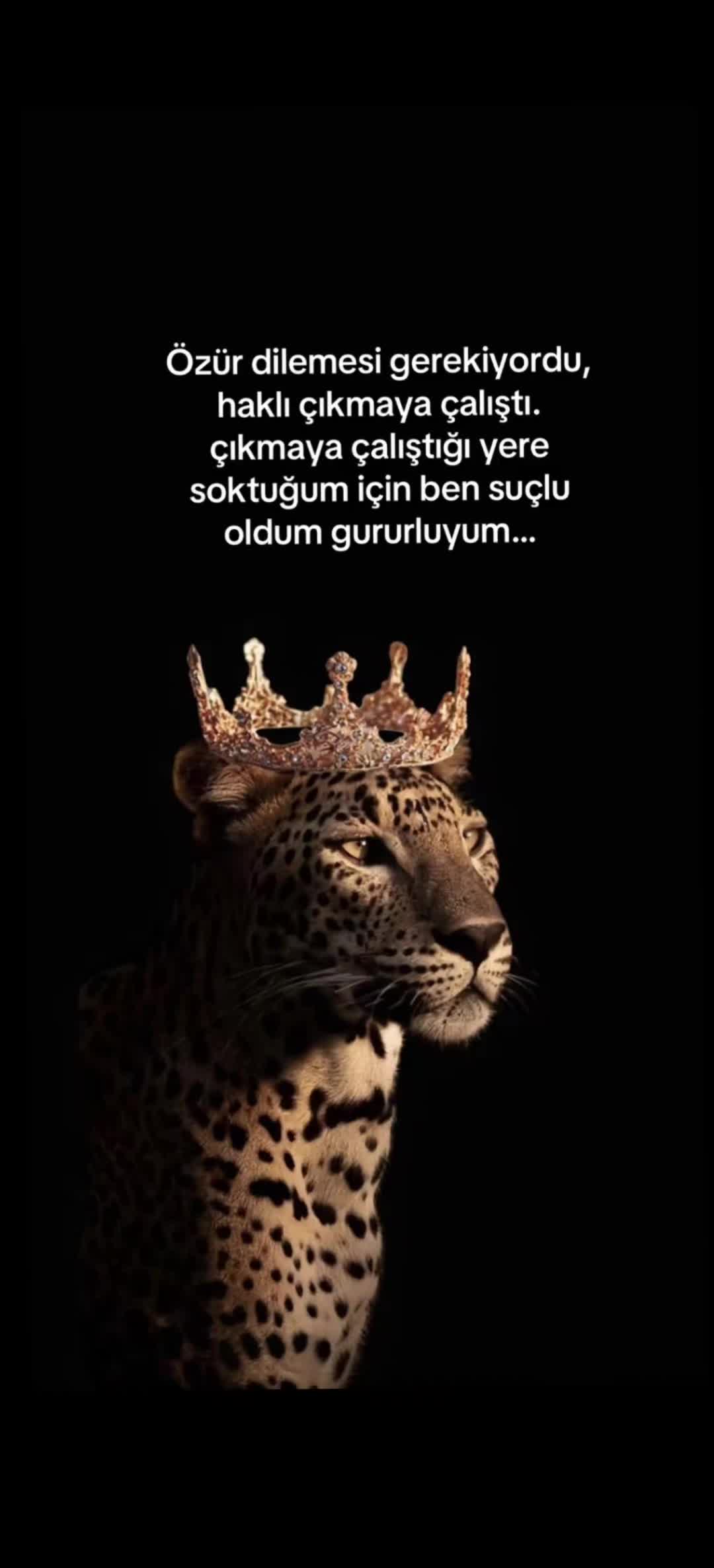 @🇹🇷🐺Uzun Saçlı Kız🐺🇹🇷