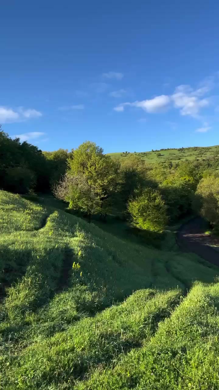 @❤️❤️son ürek❤️❤️
