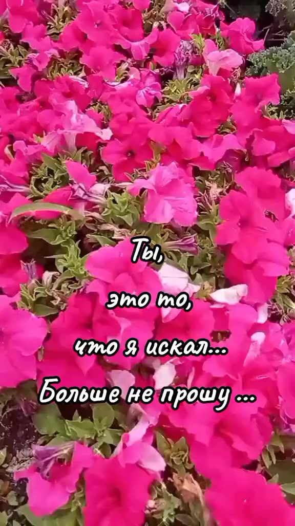 @Марина 🌹