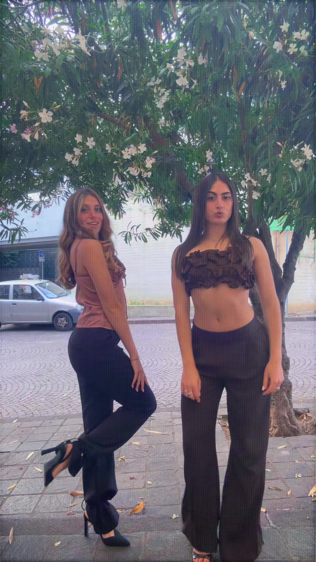 @camy🌟