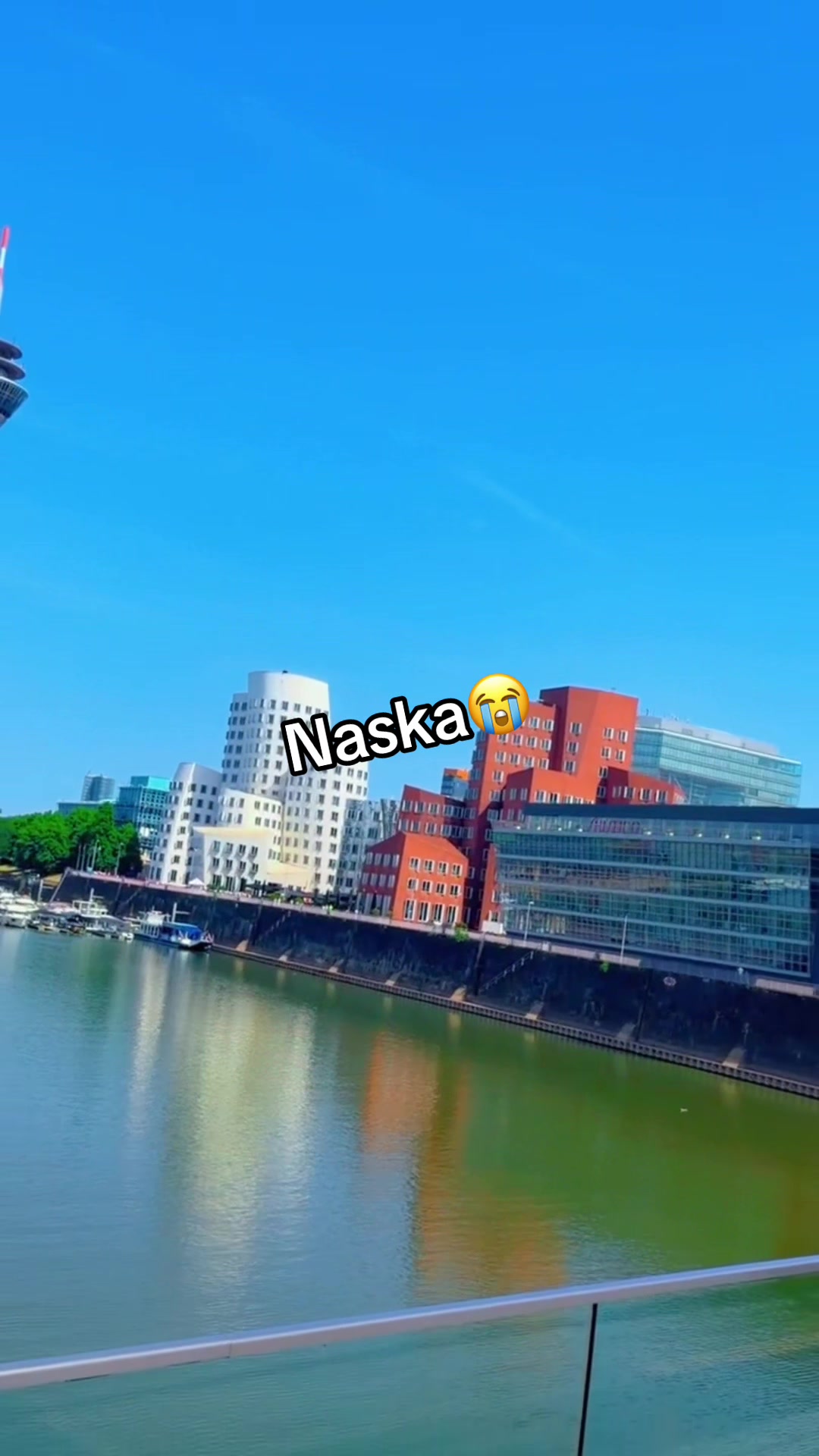 @naskagull6