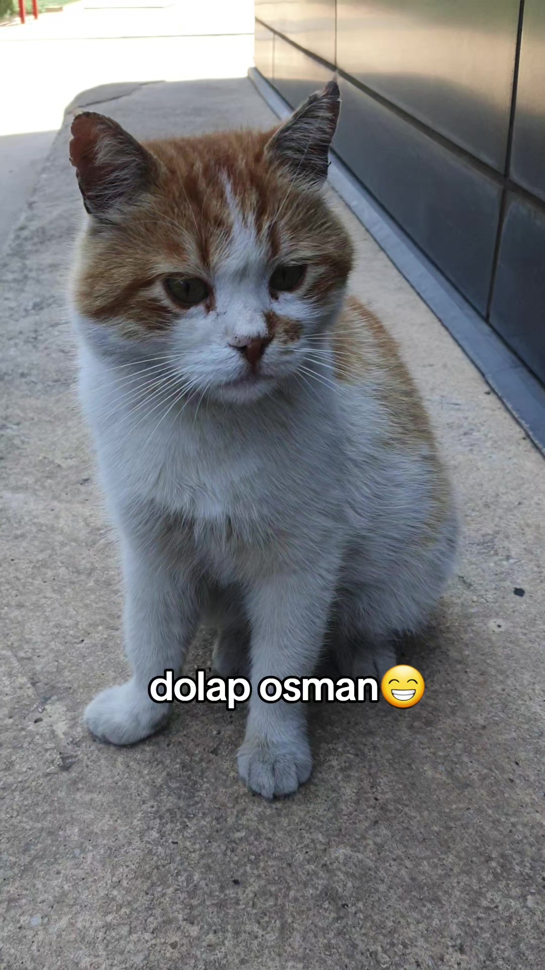 @kuzey