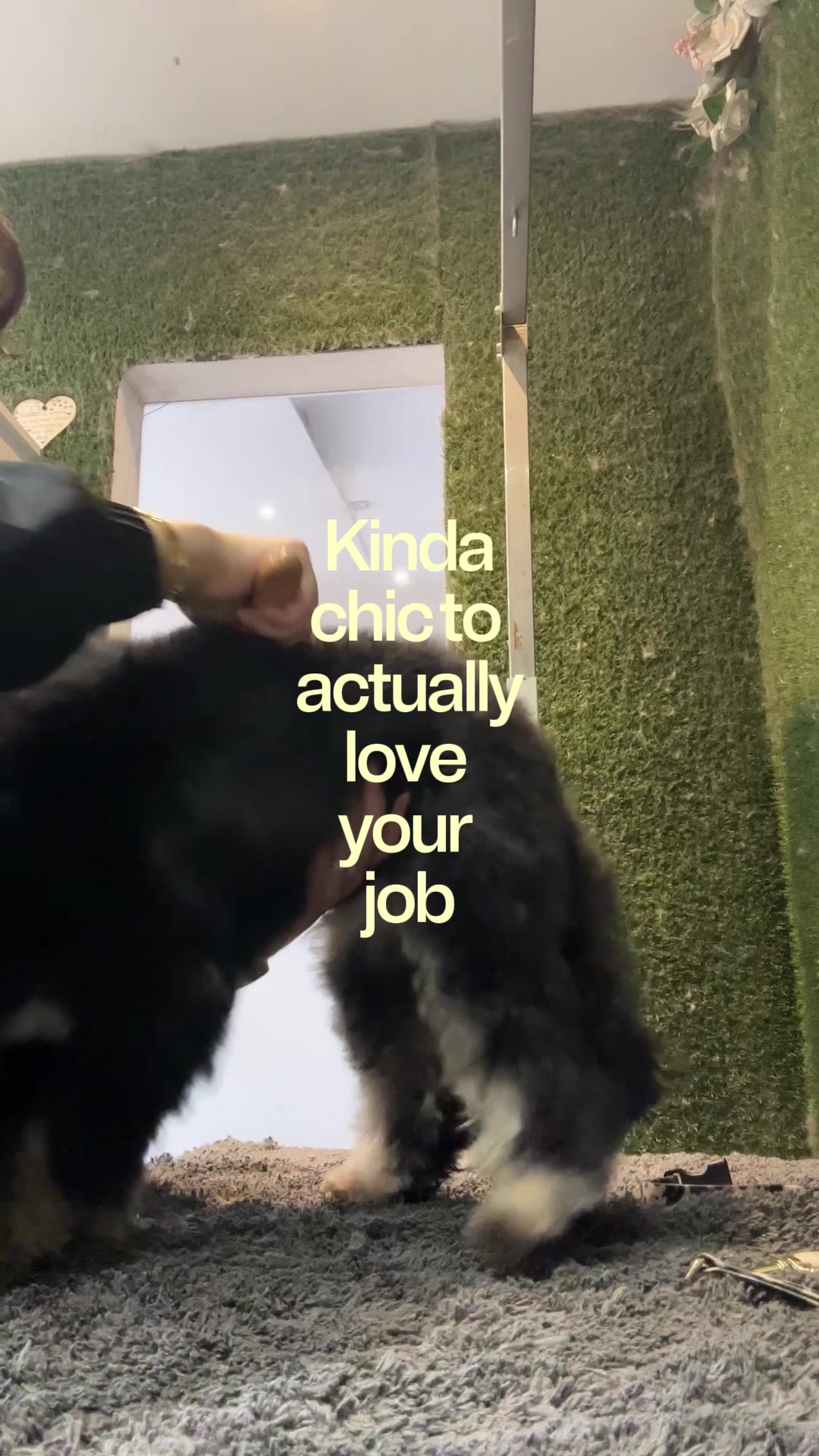 @DevenickDogs