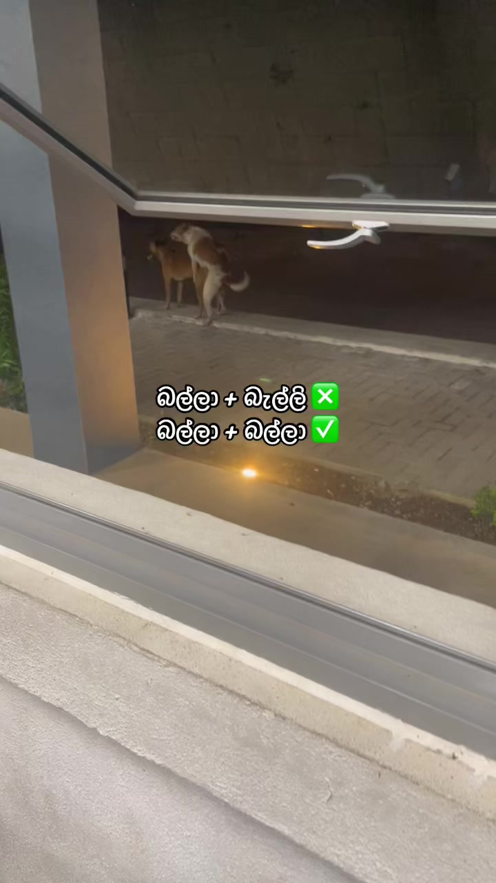 @Thibbatu.Lk