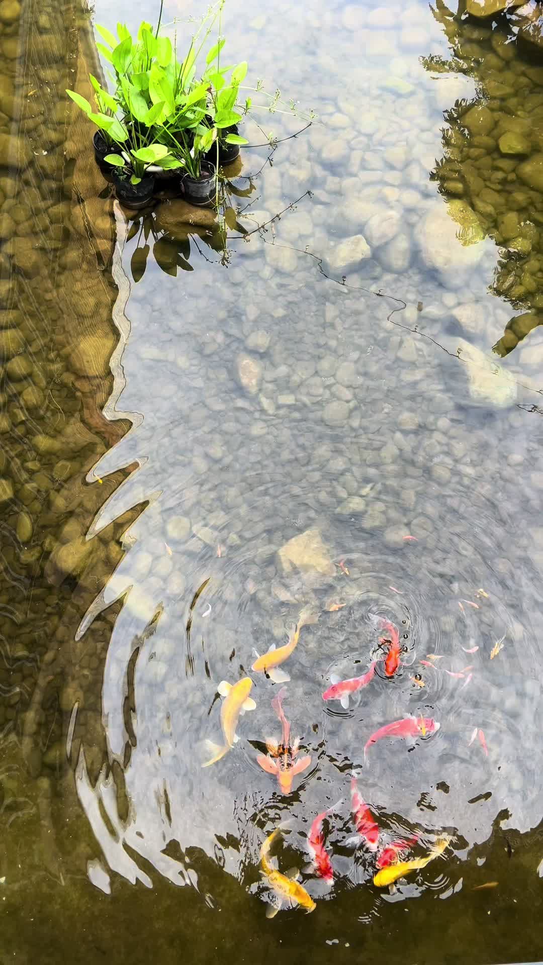 @T&agrave;i Nội Thất