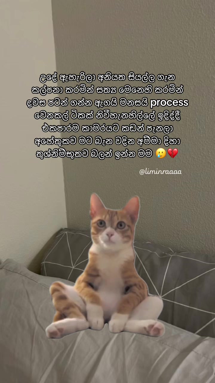 @Lisumi Jayawardana